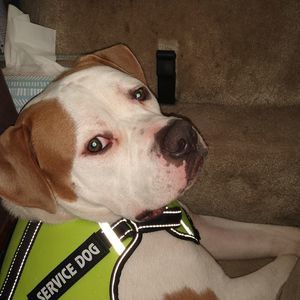 Meet your Posher, Letisha